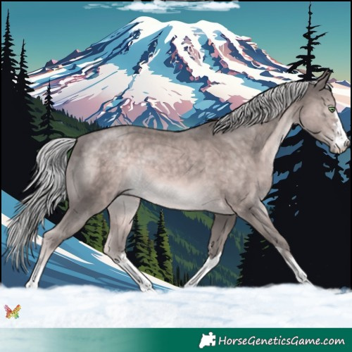 Horse Color:Platinum Chocolate Palomino 