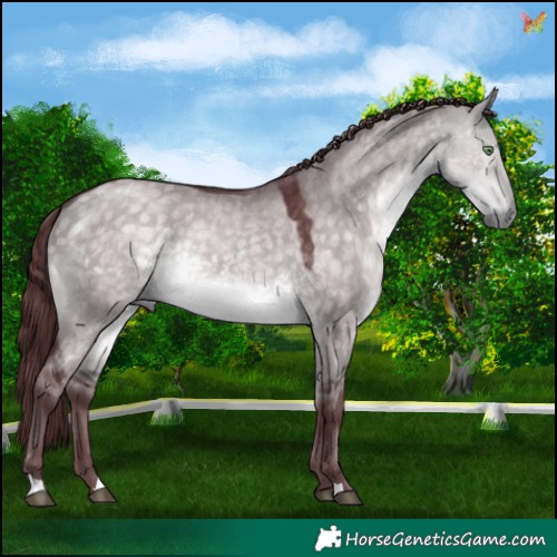 Horse Color:Platinum Chocolate Buckskin Dun 