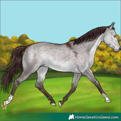 Horse Color:Platinum Chocolate Buckskin Dun 
