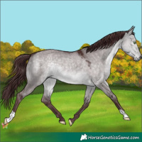 Horse Color:Platinum Chocolate Buckskin Dun 