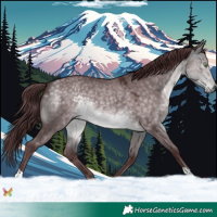 Horse Color:Platinum Chocolate Buckskin Dun 