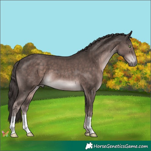 Horse Color:Platinum Liver Chestnut 