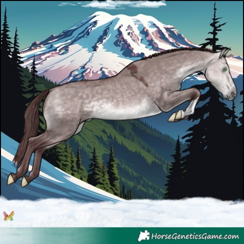 Horse Color:Platinum Chocolate Buckskin Dun 