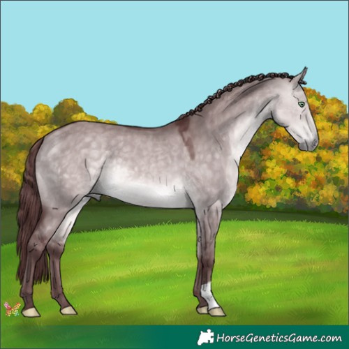 Horse Color:Platinum Chocolate Buckskin Dun 
