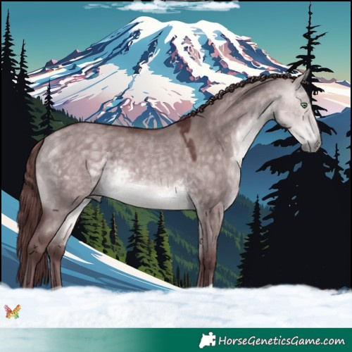 Horse Color:Platinum Chocolate Buckskin Dun 