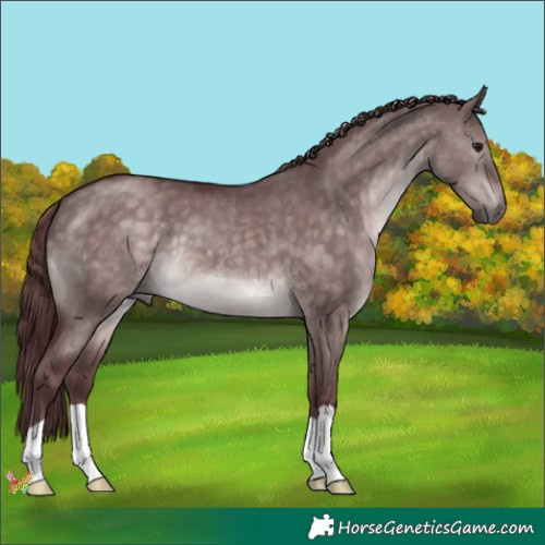 Horse Color:Platinum Chocolate Brown Dun 