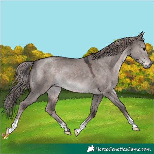 Horse Color:Platinum Liver Red Dun 