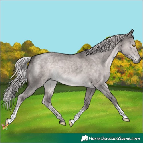 Horse Color:Platinum Chocolate Palomino Dun 