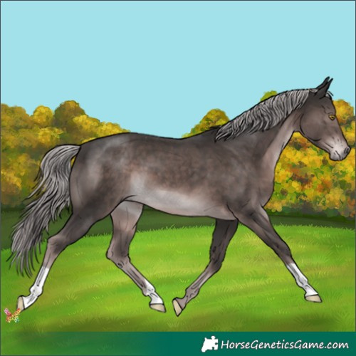 Horse Color:Platinum Liver Chestnut 