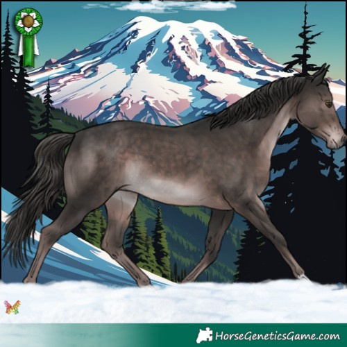 Horse Color:Platinum Liver Chestnut 