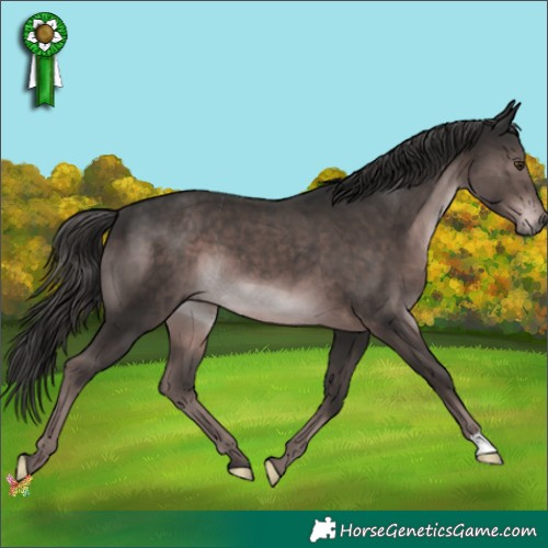Horse Color:Platinum Liver Chestnut 