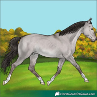 Horse Color:Platinum Liver Red Dun 