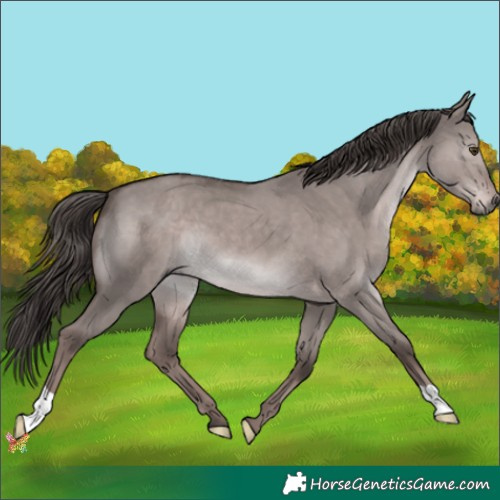 Horse Color:Platinum Liver Red Dun 