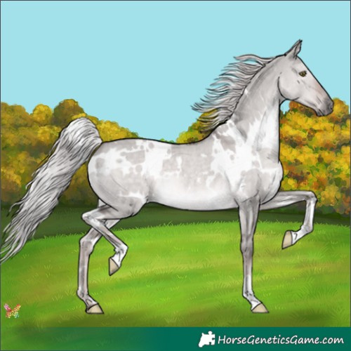 Horse Color:Platinum White Spotted Chocolate Palomino Dun 