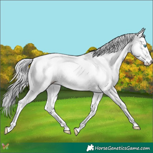 Horse Color:Platinum White Spotted Chocolate Perlino Splash 