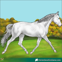 Horse Color:Platinum White Spotted Chocolate Perlino Splash 