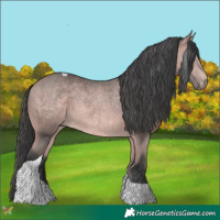 Horse Color:Platinum Bay Tobiano 