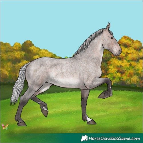 Horse Color:Platinum Silver Brown Roan 