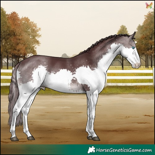 Horse Color:Platinum Chocolate Brown Splash 