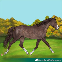 Horse Color:Platinum Chocolate Brown 