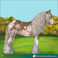 Horse Color:Chocolate Palomino Ice Sabino Tobiano 