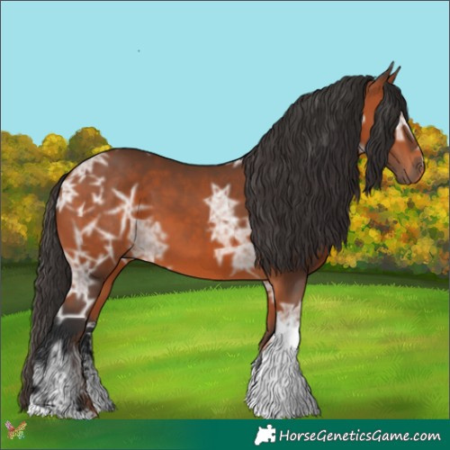 Horse Color:Bay Ice Sabino Tobiano 