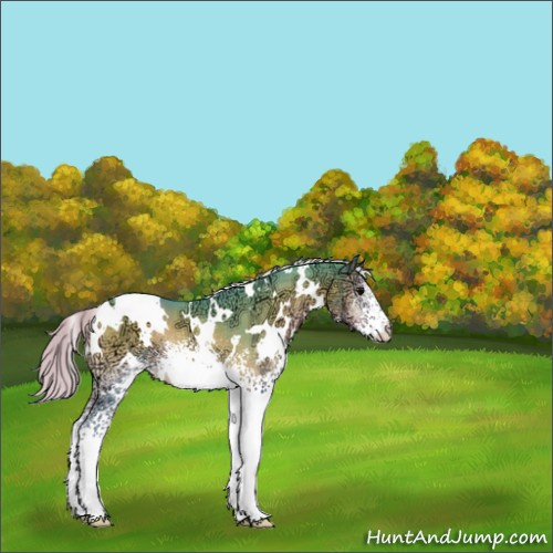 Horse Color:Watercolor White Spotted Silver Blue Onyx Ice 