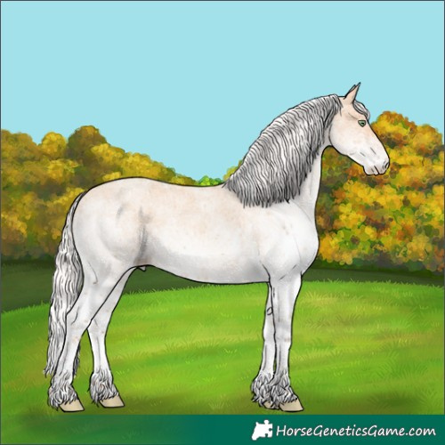 Horse Color:White Spotted Silver Amber Champagne Dun 