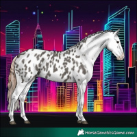 Horse Color:Grullo Blanket 