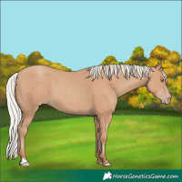 Horse Color:Silver Classic Champagne 