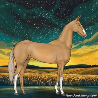 Horse Color:Palomino 