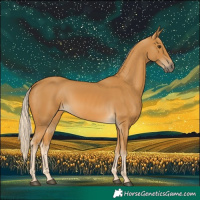 Horse Color:Palomino