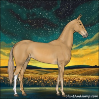 Horse Color:Palomino 
