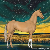 Horse Color:Palomino