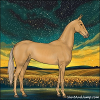 Horse Color:Palomino
