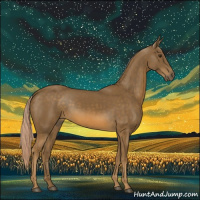 Horse Color:Chocolate Palomino 