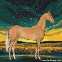 Horse Color:Palomino 