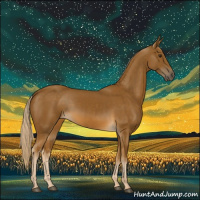 Horse Color:Chocolate Palomino 