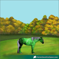 Horse Color:ERROR: UNKNOWN ANOMALY