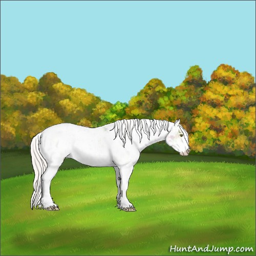 Horse Color:Silver Classic Champagne Ice Dun Sabino Rabicano