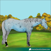 Horse Color:ERROR: UNKNOWN ANOMALY