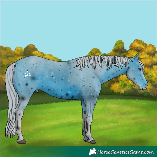 Horse Color:ERROR: UNKNOWN ANOMALY