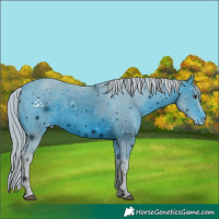 Horse Color:ERROR: UNKNOWN ANOMALY