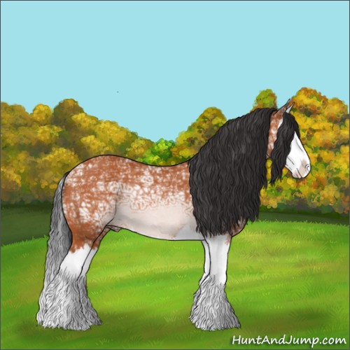 Horse Color:Bay Ice Splash Rabicano 