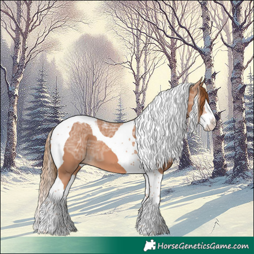 Horse Color:Chestnut Ice Splash Tobiano 