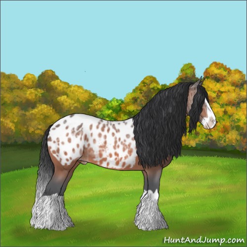 Horse Color:Bay Ice Splash Appaloosa 