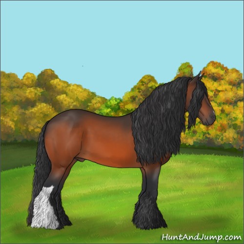 Horse Color:Brown 