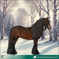 Horse Color:Bay Ice Rabicano 