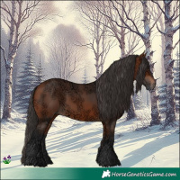 Horse Color:Bay Ice Rabicano 
