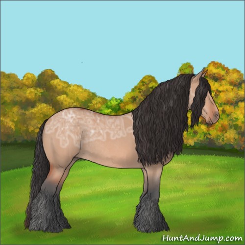 Horse Color:Bay Ice Dun Rabicano 